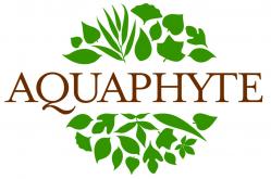 Aquaphyte logo quadri